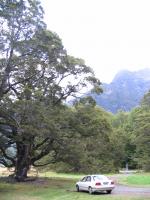 Albums/20060200-New Zealand 2006/20060210-Te Anau to Milford/53